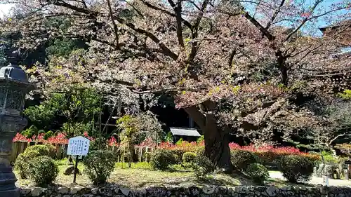 橘寺の庭園