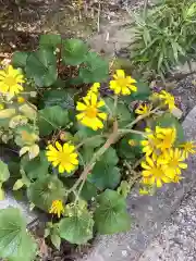 富部神社の自然