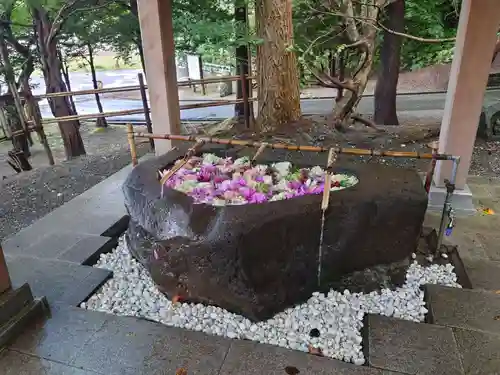 千歳神社の手水