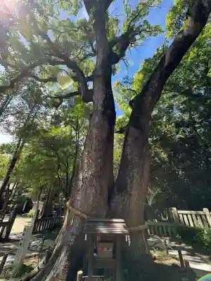 伊弉諾神宮(兵庫県)