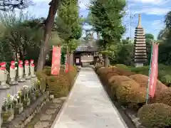 円泉寺の山門