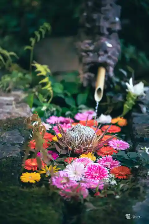 柳津虚空蔵尊 寳性院(宮城県)