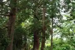 諏訪神社(福島県)