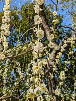 城南宮(京都府)