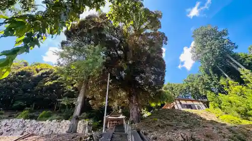 小讃岐神社(福井県)
