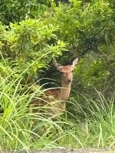 十輪寺(徳島県)