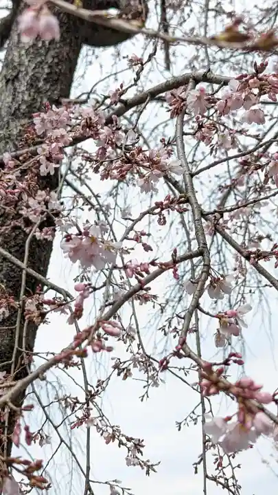 満願寺(京都府)
