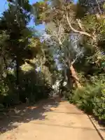 武雷神社(千葉県)