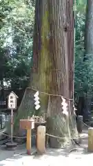 一言主神社(茨城県)