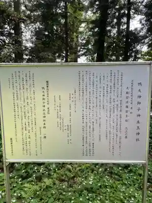 鴨大神御子神主玉神社(茨城県)