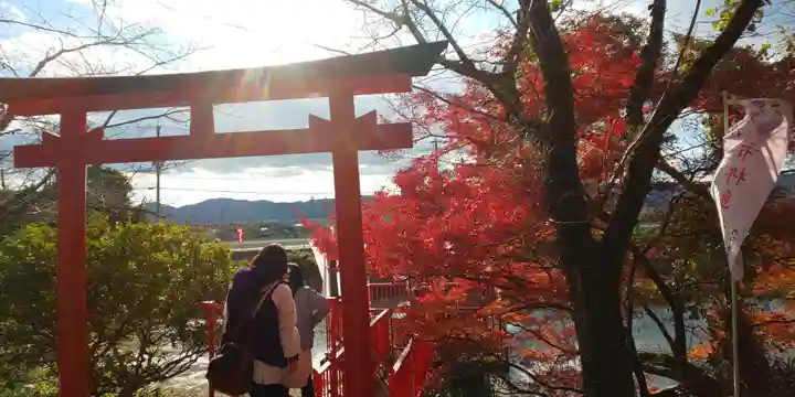 出雲大神宮の鳥居