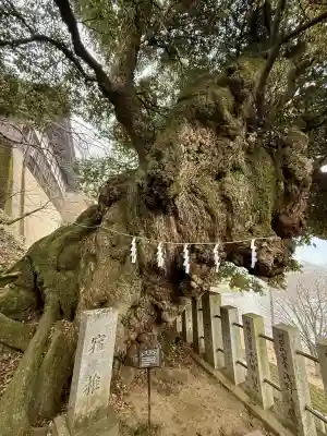 楽法寺(雨引観音)(茨城県)