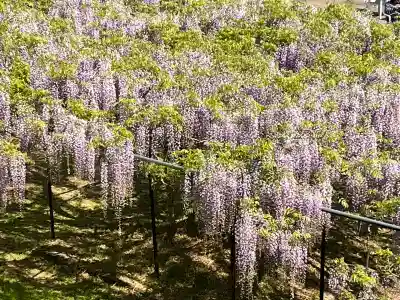 天台宗 五大山 白毫寺(兵庫県)