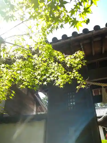 両児神社(岡山県)