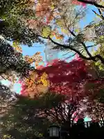 観音山慈眼院(高崎観音)(群馬県)