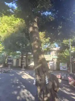 七社神社(東京都)