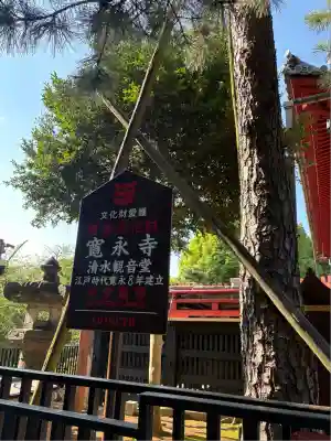 清水観音堂(東京都)