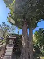 元宿堰稲荷大神(東京都)