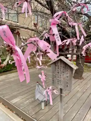 桜神宮(東京都)