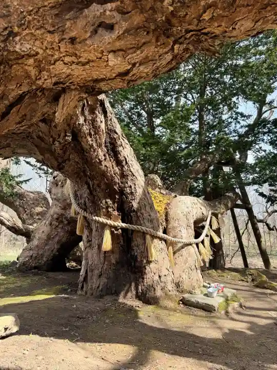 橡木山白木神社の{uncategorized: "未分類", other: "その他", undefined: "問題あり", building: "その他建物", grave: "お墓", sacred_gate: "鳥居", guardian: "狛犬", statue: "像", buddha: "仏像", history: "歴史", nature: "自然", garden: "庭園", animal: "動物", pagoda: "塔", temizu: "手水舎", mountain_gate: "山門・神門", sanctuary: "本殿・本堂", subordinate: "末社・摂社", art: "芸術", scenery: "景色", jizo: "地蔵", ema: "絵馬", goshuin: "御朱印", omikuji: "おみくじ", items: "授与品その他", amulet: "お守り", goshuincho: "御朱印帳", eats: "食事", festival: "お祭り", votive_dance: "神楽", shichigosan: "七五三参", wedding: "結婚式", experience: "体験その他", initially: "初詣", around: "周辺", anti_infection: "感染症対策"}