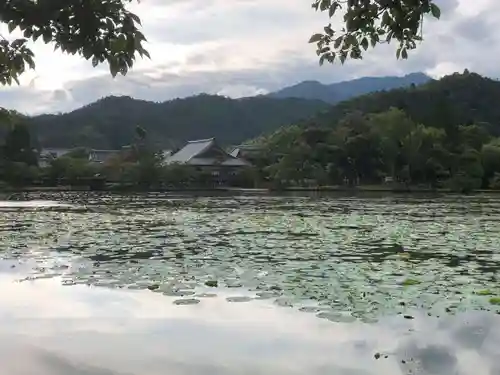 大覚寺(京都府)
