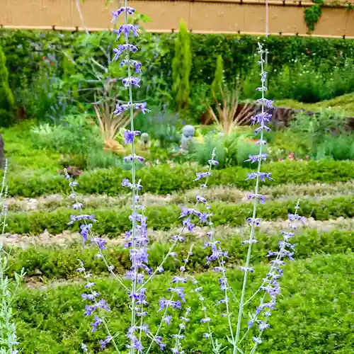 寿量山　速成寺の周辺