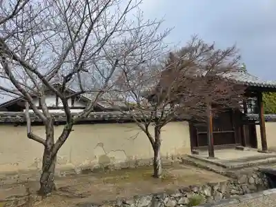 律学院(奈良県)