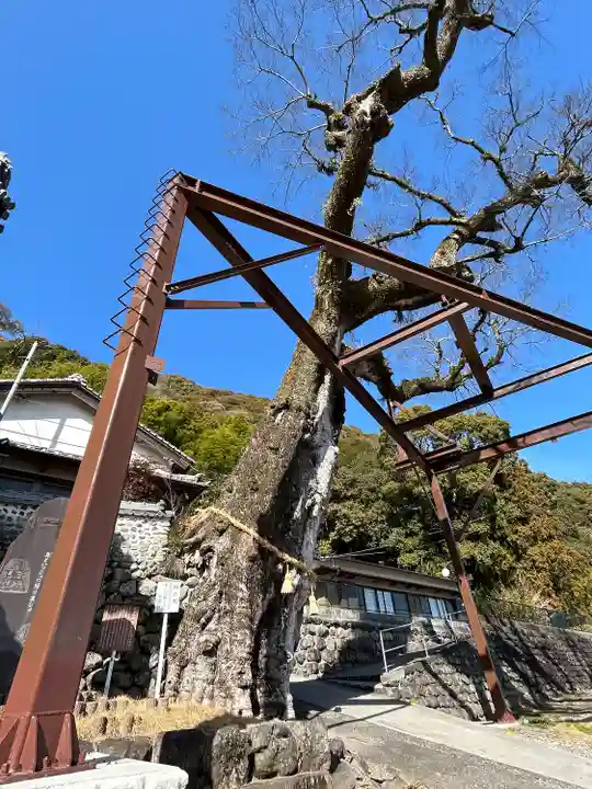 閑慶院(高知県)