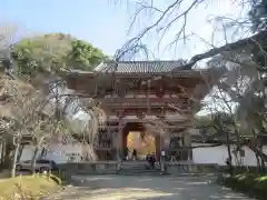 醍醐寺(京都府)