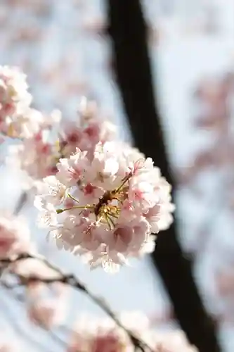 密藏院(埼玉県)