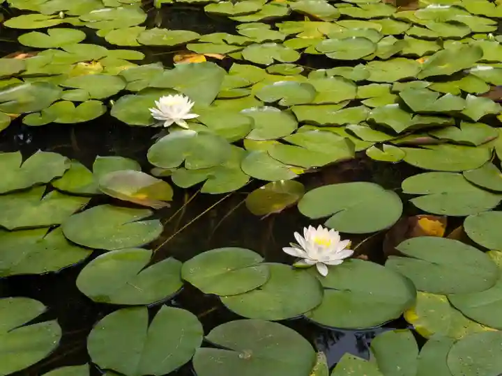平安神宮(京都府)