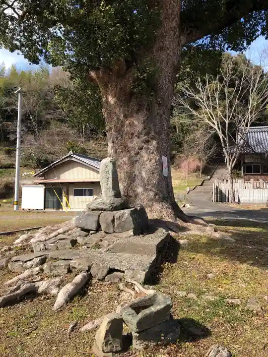 八幡神社の自然