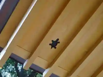 亀ケ池八幡宮の手水舎