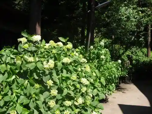 御霊神社の自然