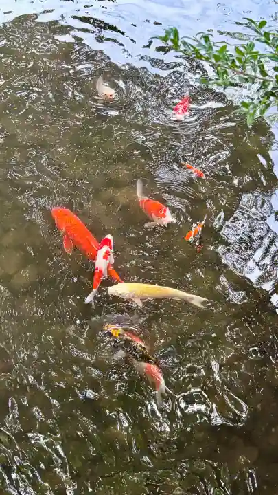 秩父今宮神社(埼玉県)