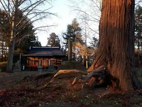 金ケ崎神社の建物その他