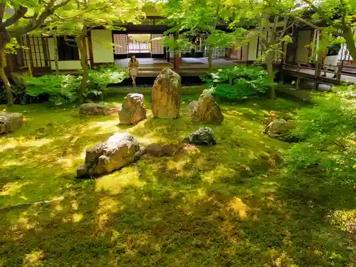 建仁寺（建仁禅寺）(京都府)