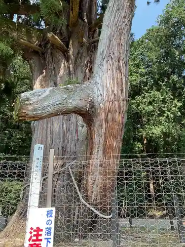 熊野神社(岐阜県)