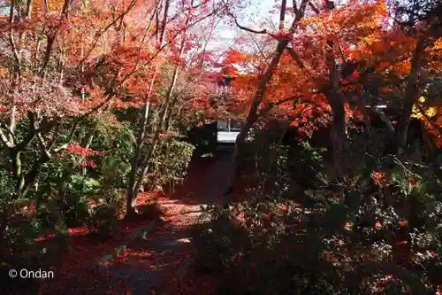 善法律寺(京都府)