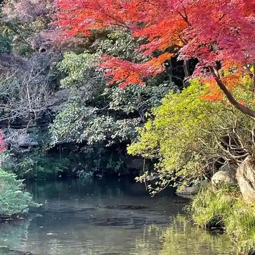 深大寺の庭園