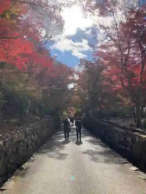 興聖寺(興聖寶林禅寺)(京都府)