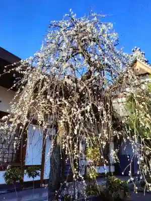 瑞円寺(東京都)