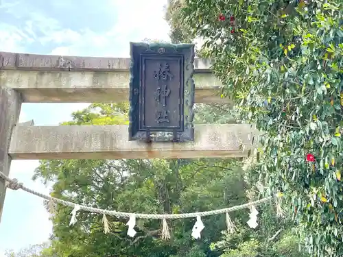 椿神社の鳥居