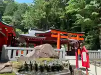 九頭龍神社新宮(神奈川県)