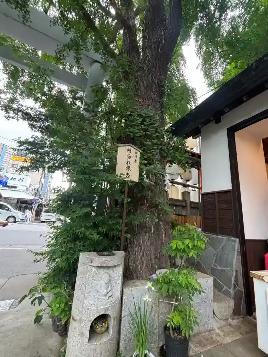 波除神社(波除稲荷神社)の{uncategorized: "未分類", other: "その他", undefined: "問題あり", building: "その他建物", grave: "お墓", sacred_gate: "鳥居", guardian: "狛犬", statue: "像", buddha: "仏像", history: "歴史", nature: "自然", garden: "庭園", animal: "動物", pagoda: "塔", temizu: "手水舎", mountain_gate: "山門・神門", sanctuary: "本殿・本堂", subordinate: "末社・摂社", art: "芸術", scenery: "景色", jizo: "地蔵", ema: "絵馬", goshuin: "御朱印", omikuji: "おみくじ", items: "授与品その他", amulet: "お守り", goshuincho: "御朱印帳", eats: "食事", festival: "お祭り", votive_dance: "神楽", shichigosan: "七五三参", wedding: "結婚式", experience: "体験その他", initially: "初詣", around: "周辺", anti_infection: "感染症対策"}