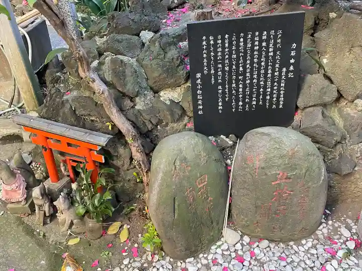 讃岐小白稲荷神社(東京都)