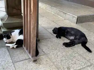 王子神社(徳島県)