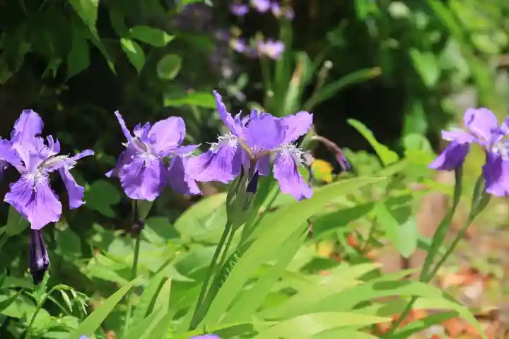 阿邪訶根神社の庭園