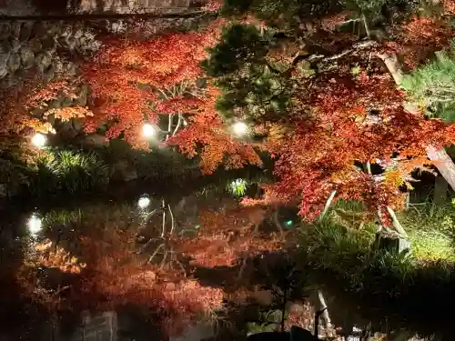 宝登山神社(埼玉県)