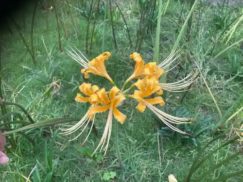 横浜　西方寺(神奈川県)